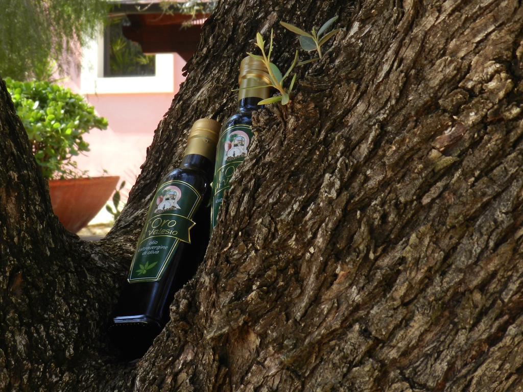 Masseria Pisciani Torchiarolo Εξωτερικό φωτογραφία