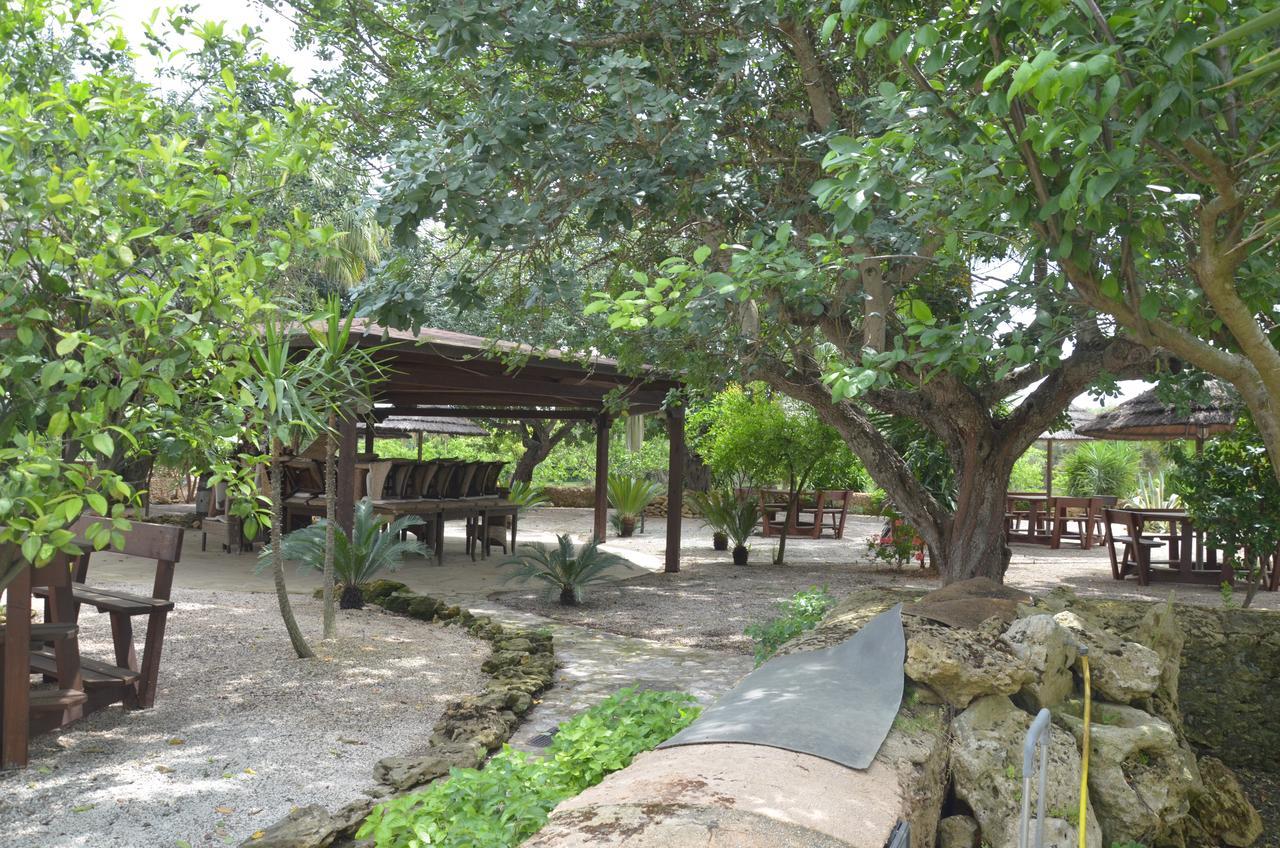 Masseria Pisciani Torchiarolo Εξωτερικό φωτογραφία