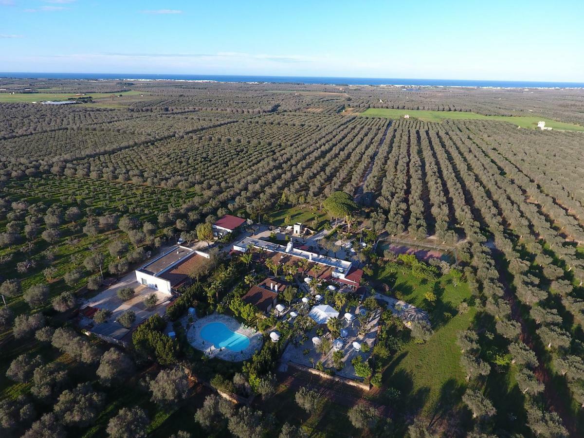 Masseria Pisciani Torchiarolo Εξωτερικό φωτογραφία