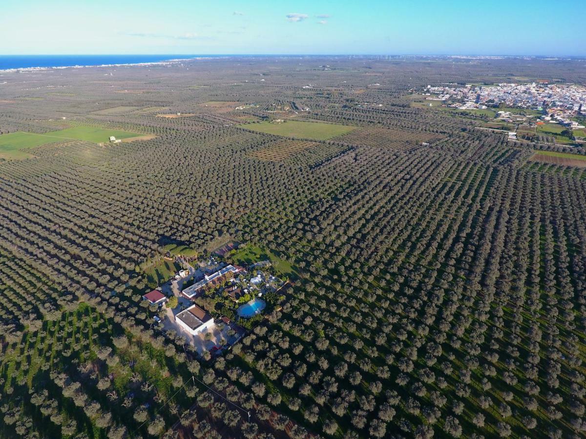 Masseria Pisciani Torchiarolo Εξωτερικό φωτογραφία